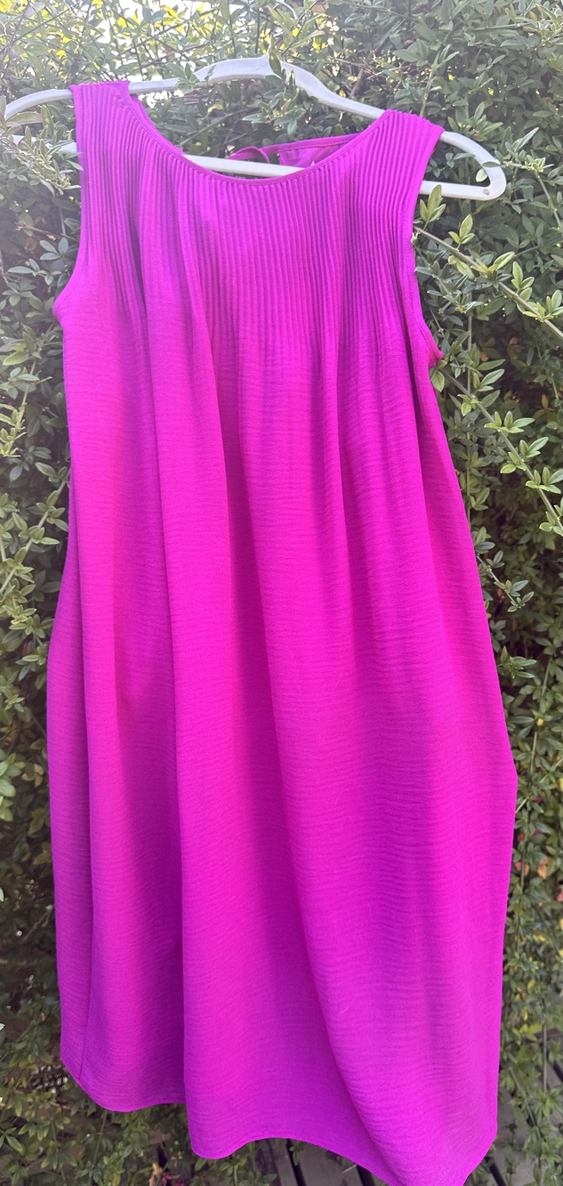 Sleeveless Dress Max Studio